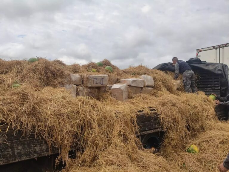 Mais de 1 tonelada de maconha é apreendida em meio a carga de melancias; Veja vídeo