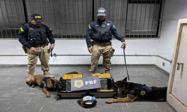 Passageiro de ônibus é preso com 42 kg de maconha; droga é avaliada em R$ 500 mil