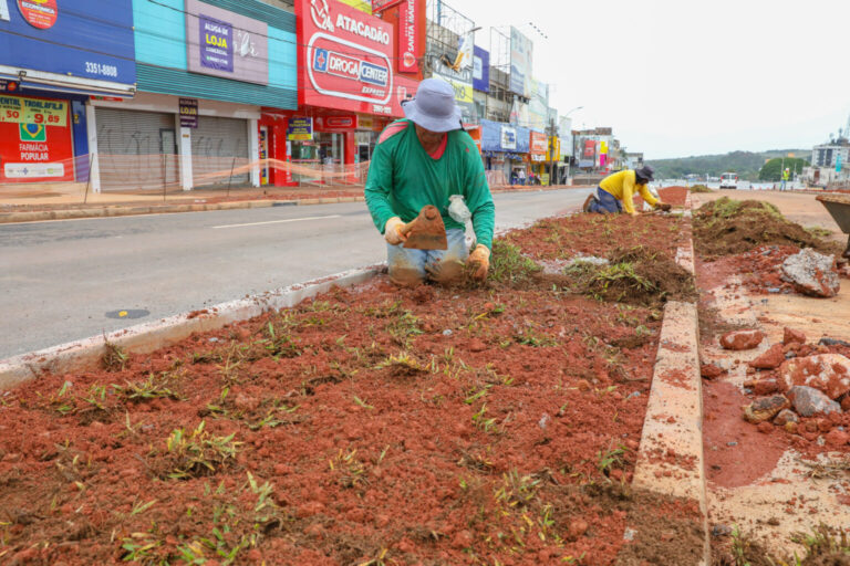 Começa plantio de grama nos canteiros do boulevard do Túnel de Taguatinga