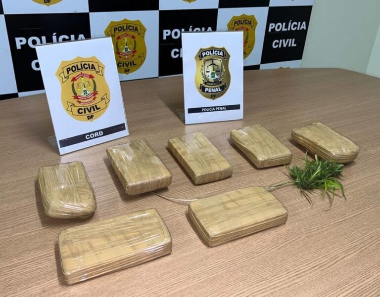 Jovem de 24 anos é presa com cocaína avaliada em R$ 1,5 milhão no DF