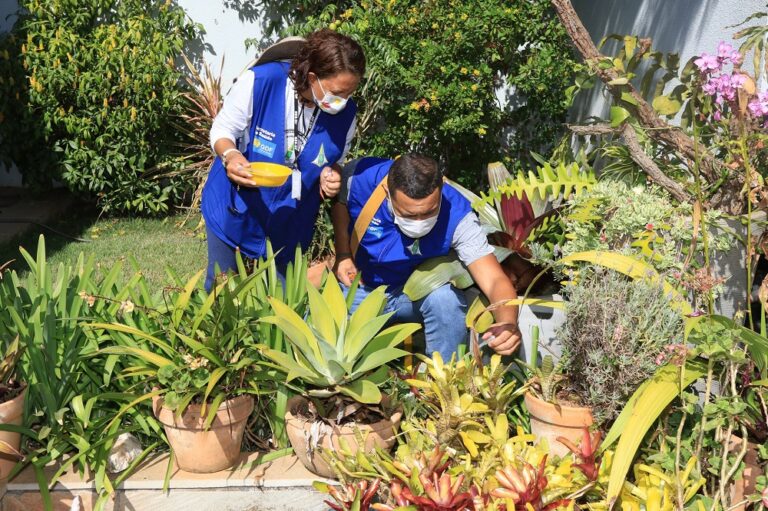 Lei institui novo método para combate ao Aedes aegypti no DF