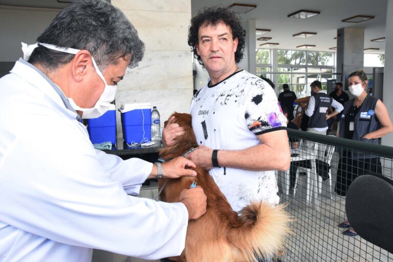 Mais de 130 mil animais já foram vacinados contra a raiva no DF