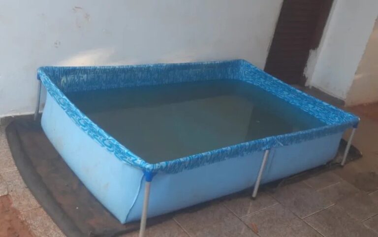 Bebê de 1 ano morre após se afogar em piscina de plástico