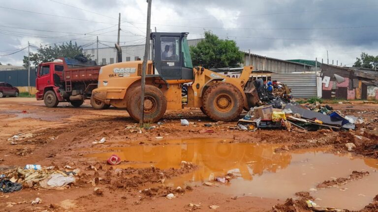 Força-tarefa recupera área verde próximo a Santa Luzia, na Estrutural