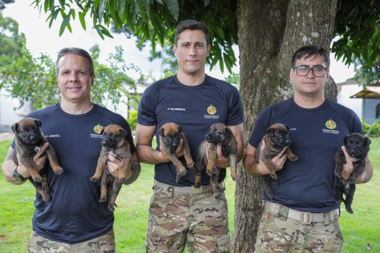 Batalhão da PMDF apresenta nova ninhada de cães para treinamento