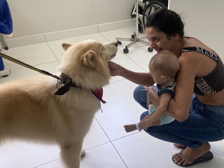 Cachorros de suporte emocional visitam crianças internadas no Hmib
