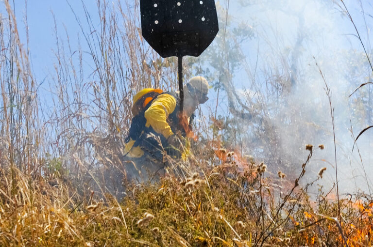 GDF investe em ações conjuntas para evitar incêndios na época da seca