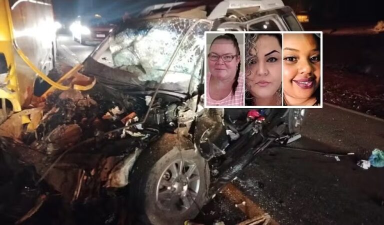 Mãe, filha e amiga morrem em estrada após carro atropelar vaca solta em pista