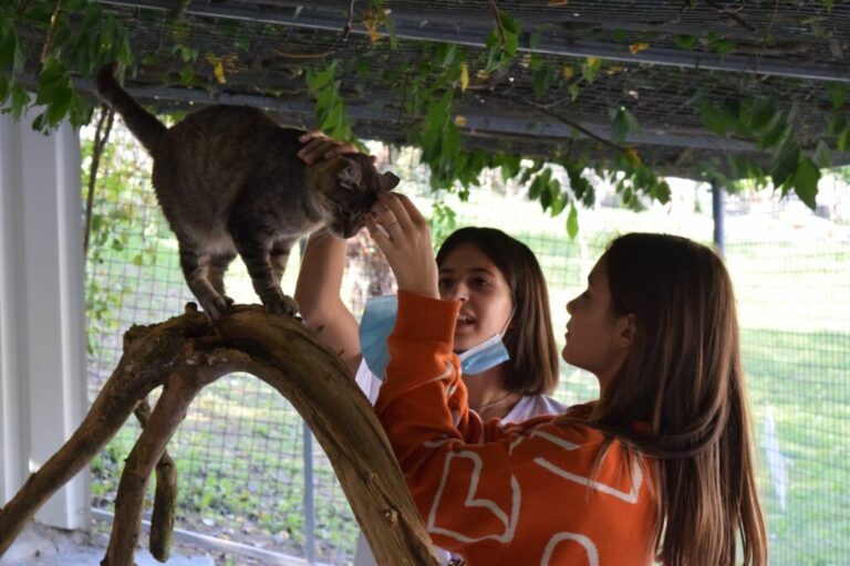 Projeto Educa + Pet incentiva educação e conscientização animal na Cidade Estrutural