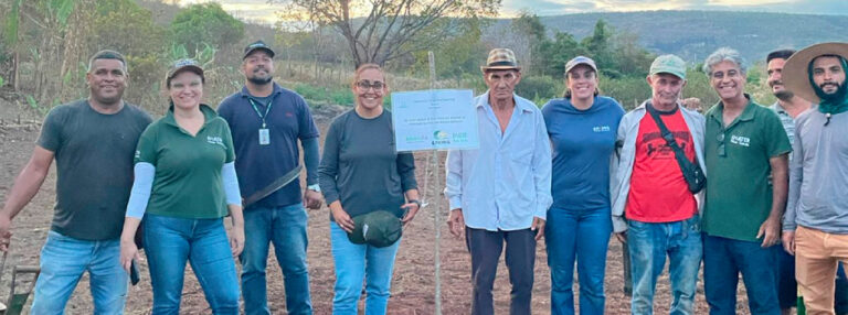 Epamig instala 50 Unidades Demonstrativas de arroz de terras altas em Minas Gerais