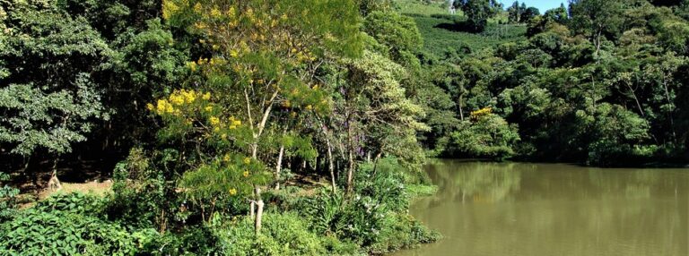 Governo de Minas convoca para 5ª Conferência Estadual do Meio Ambiente