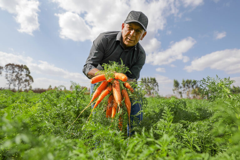 Programas do GDF fortalecem pequenos produtores e a segurança alimentar