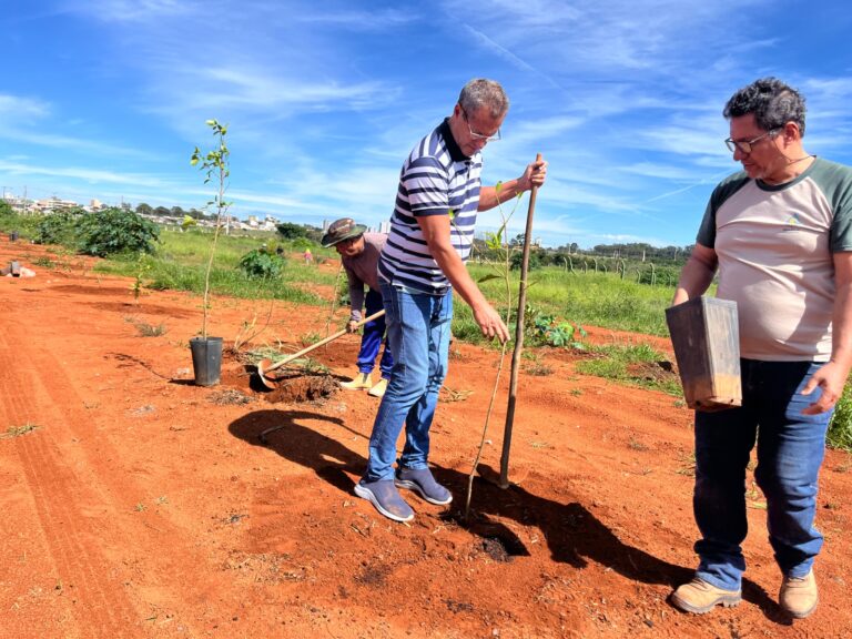 Parque Ecológico do Riacho Fundo realiza plantio de mudas e reforça conscientização ambiental