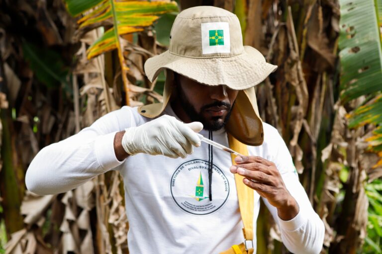 Nova ferramenta do GDF agiliza combate à dengue com monitoramento de focos