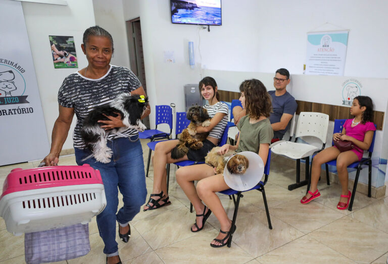 Programa de castração do GDF já atendeu mais de 700 animais em fevereiro