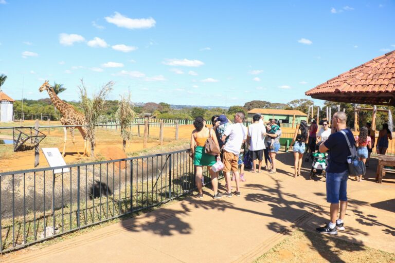 Vai de Graça: Confira linhas que vão ao Zoológico e Jardim Botânico com entrada gratuita aos Domingos