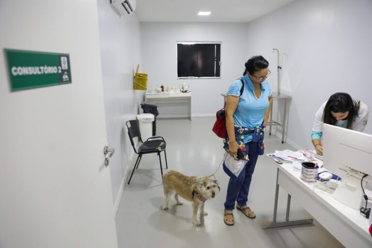 Campanha Abril Laranja sensibiliza a população contra a crueldade animal