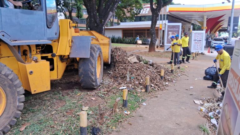 Mutirão de limpeza reforça bem-estar e segurança urbana em áreas do Plano Piloto