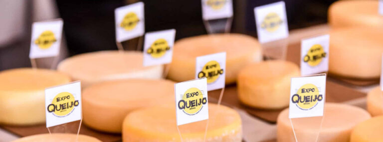 Concurso internacional de queijo artesanal terá curadoria da Epamig em Minas Gerais