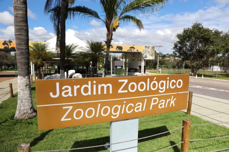Zoológico de Brasília investiga novo caso suspeito de influenza aviária em animal silvestre