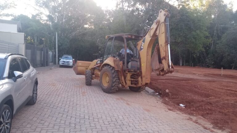 GDF apreende máquina em operação contra desmatamento em APA de Vicente Pires