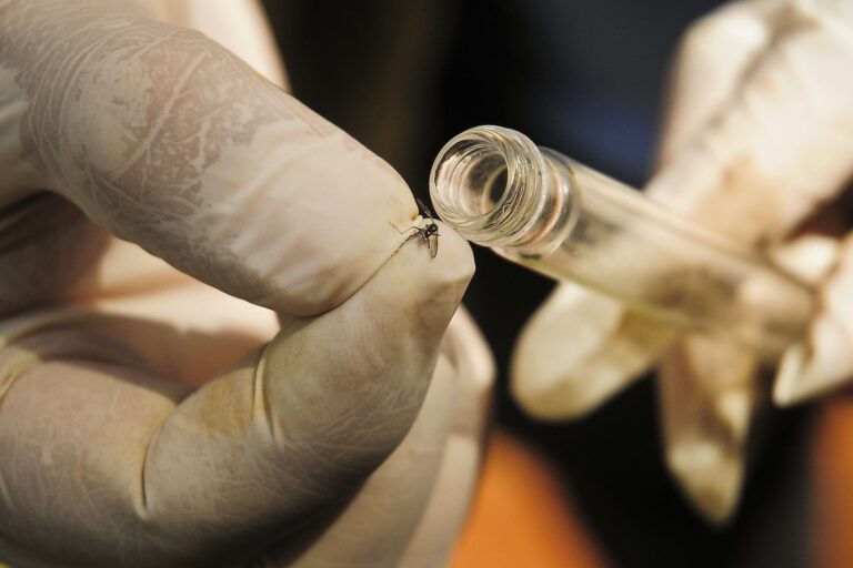 Saúde do DF se prepara para adotar armadilhas inteligentes no combate à dengue