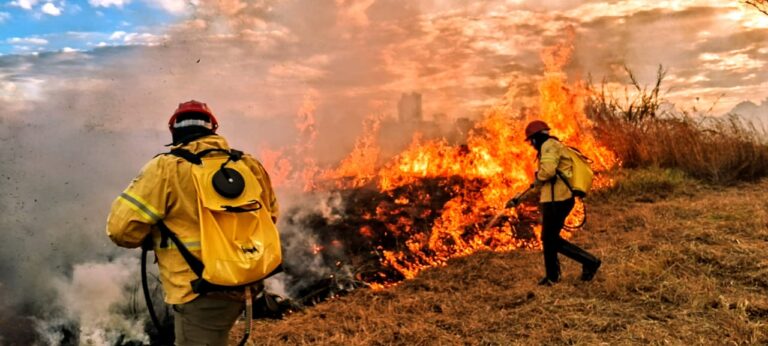 DF amplia combate a incêndios florestais com uso de inteligência artificial