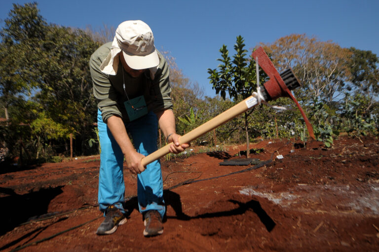 Hortoterapia no CAPS II: oficina de cultivo fortalece cuidado com saúde mental no DF