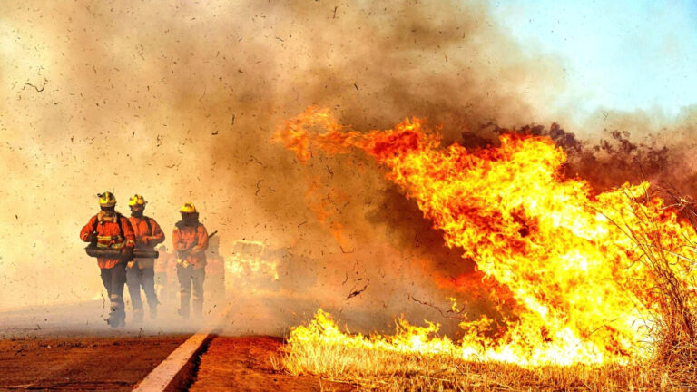 Operação Verde Vivo reduz em 54% os incêndios florestais no DF no 1º semestre de 2025