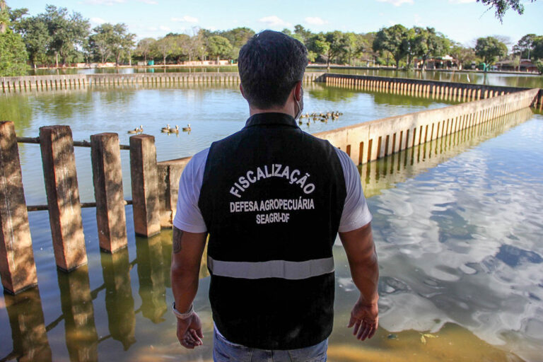 GDF intensifica ações para prevenir gripe aviária e proteger a agropecuária