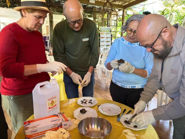 Produtores de abelhas sem ferrão participam de curso da Emater-DF sobre produção de própolis