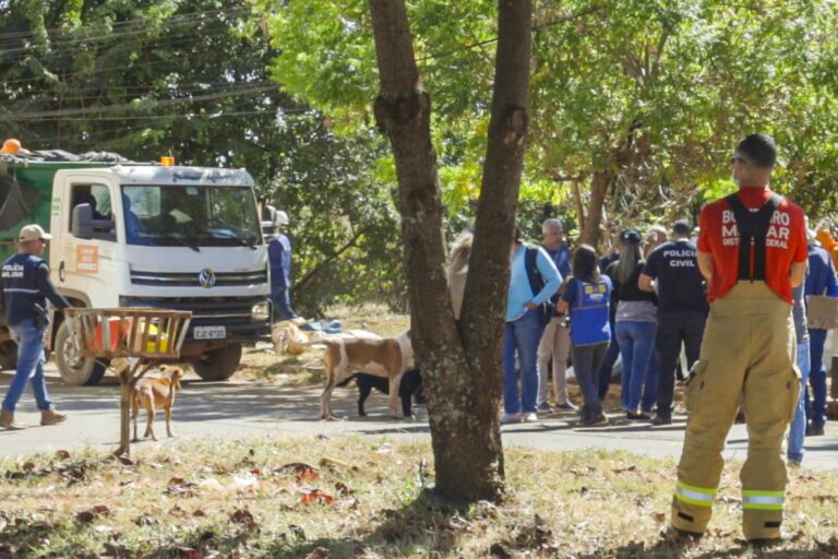 Ação integrada acolhe 44 pessoas em situação de rua no DF durante a semana