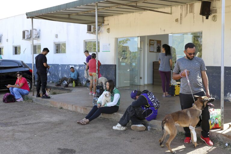 Hospital Veterinário Público do DF realiza cerca de 10 mil atendimentos no 1º semestre de 2025