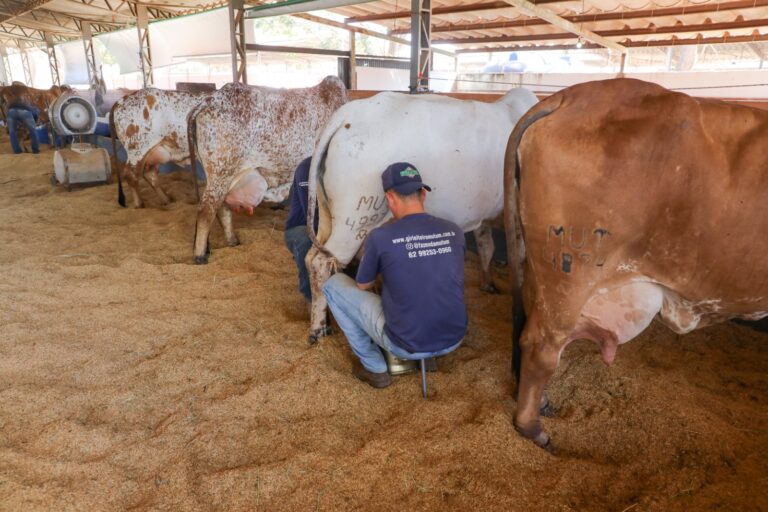 Expoabra 2025 traz agronegócio e cultura para o coração de Brasília