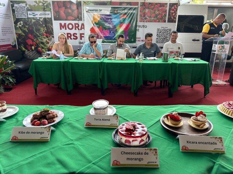 Concurso de Receitas com Morango chega à 20ª edição em Brazlândia