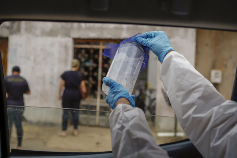 Wolbitos são liberados no DF para reforçar combate à dengue, zika e chikungunya