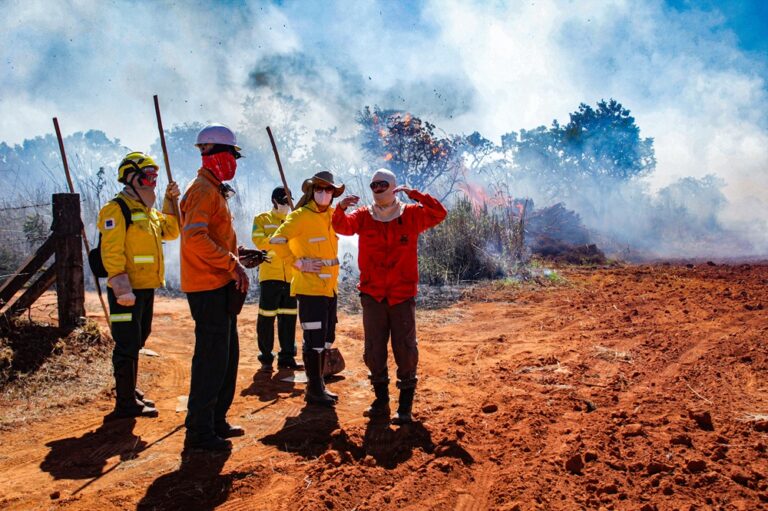 Fazenda Água Limpa da UnB recebe simulação de incêndios florestais em setembro