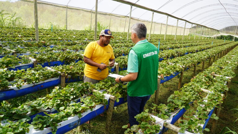 Emater-DF convoca novos aprovados em concurso público após desistências