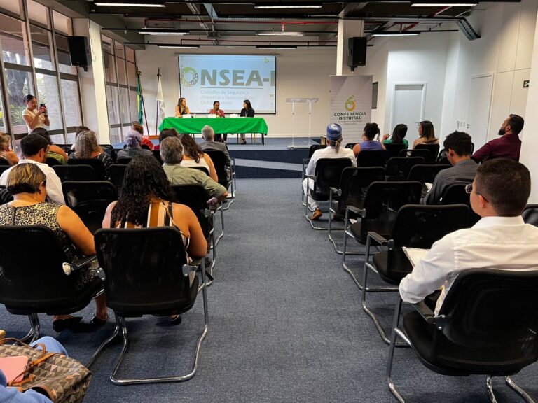 Albaneide Peixinho é reeleita presidente do Consea-DF; novos conselheiros também tomam posse