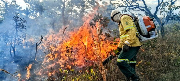 GDF realiza fórum para definir ações contra incêndios florestais em 2026