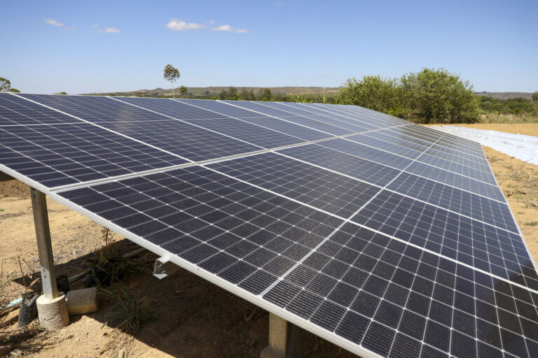 GDF amplia crédito agrícola e investe R$ 8 milhões para fortalecer a produção rural