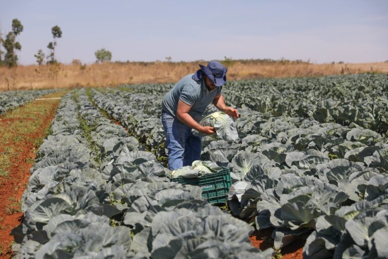 GDF investe mais de R$ 16 milhões no Fundo de Desenvolvimento Rural e amplia crédito para produtores do DF