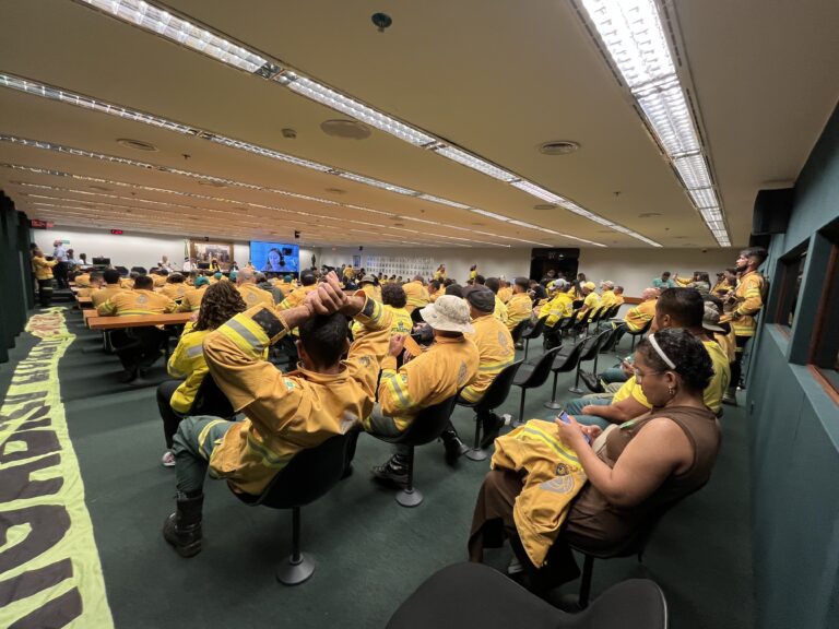 Câmara debate regulamentação da profissão de brigadista florestal em audiência pública