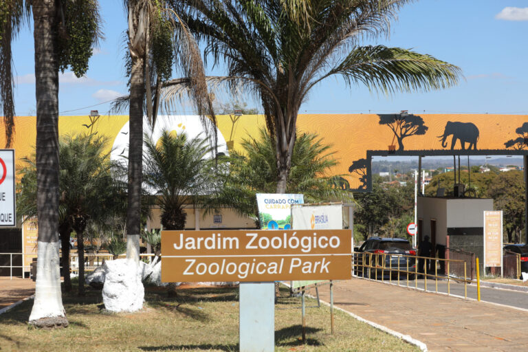 Zoológico de Brasília vive ano histórico em 2025 com avanços na conservação e reconhecimento internacional