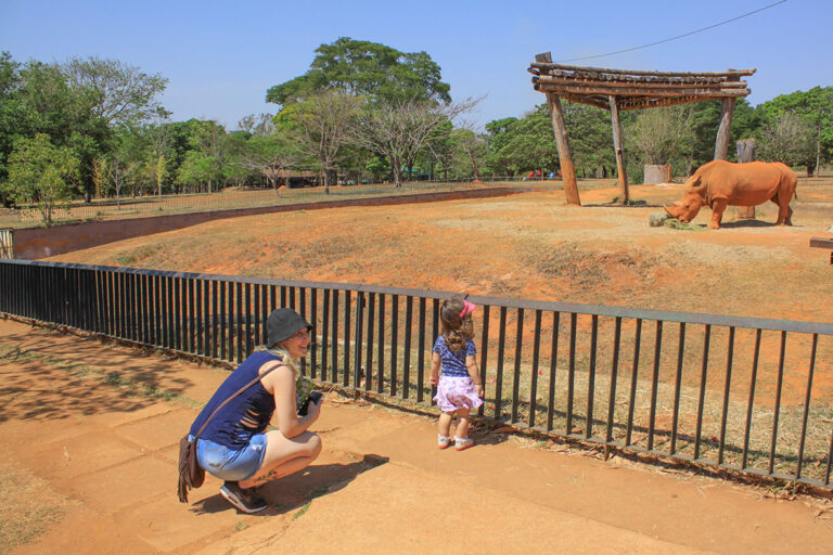 Fim de semana no DF tem programação cultural gratuita, aniversário do Zoológico e transporte liberado