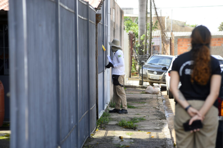 Chuvas acendem alerta contra dengue no DF e ações intensificam combate ao Aedes aegypti