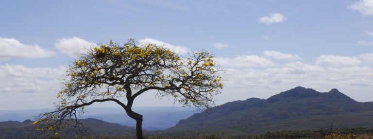 Minas abre roadshow para concessão turística do Parque Estadual do Biribiri