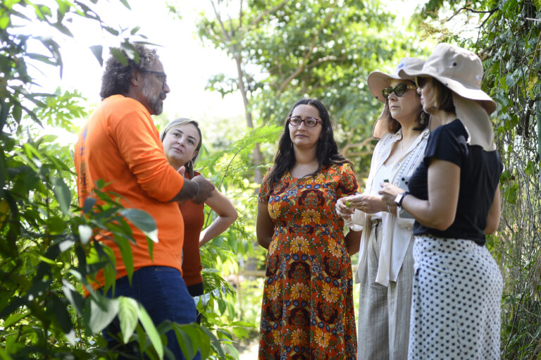 Hortos agroflorestais da rede pública de saúde do DF chamam atenção de organismo internacional