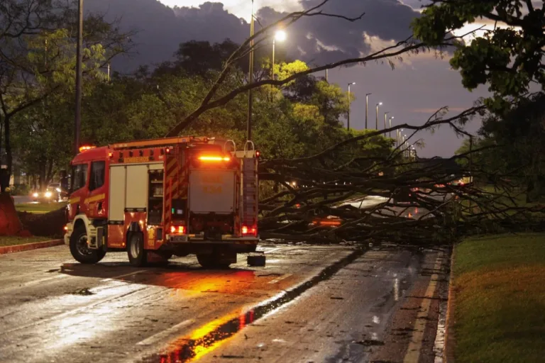 Veículos, árvores e prédios: veja estragos causados pelas chuvas no DF