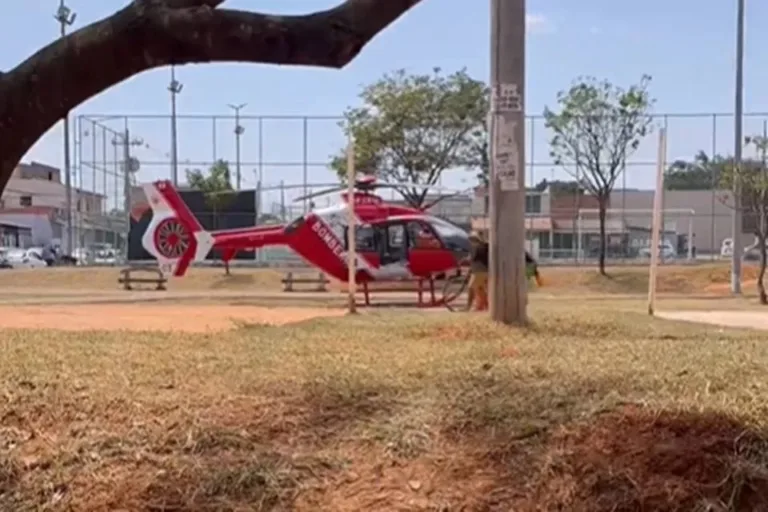 Vídeo: ataque de abelhas a crianças mobiliza bombeiros em Ceilândia
